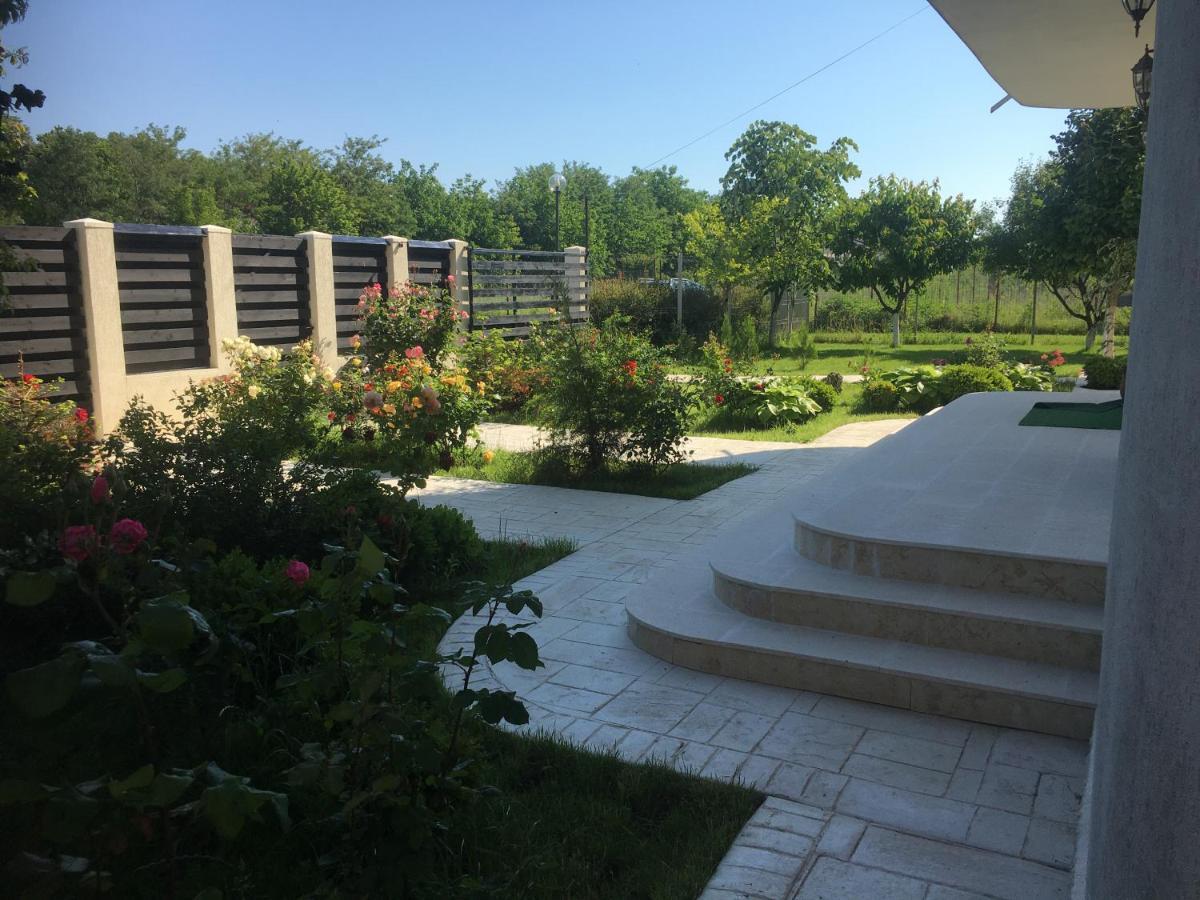Vila Zoe Bucharestairport&Therme&Parking Otopeni Exterior foto