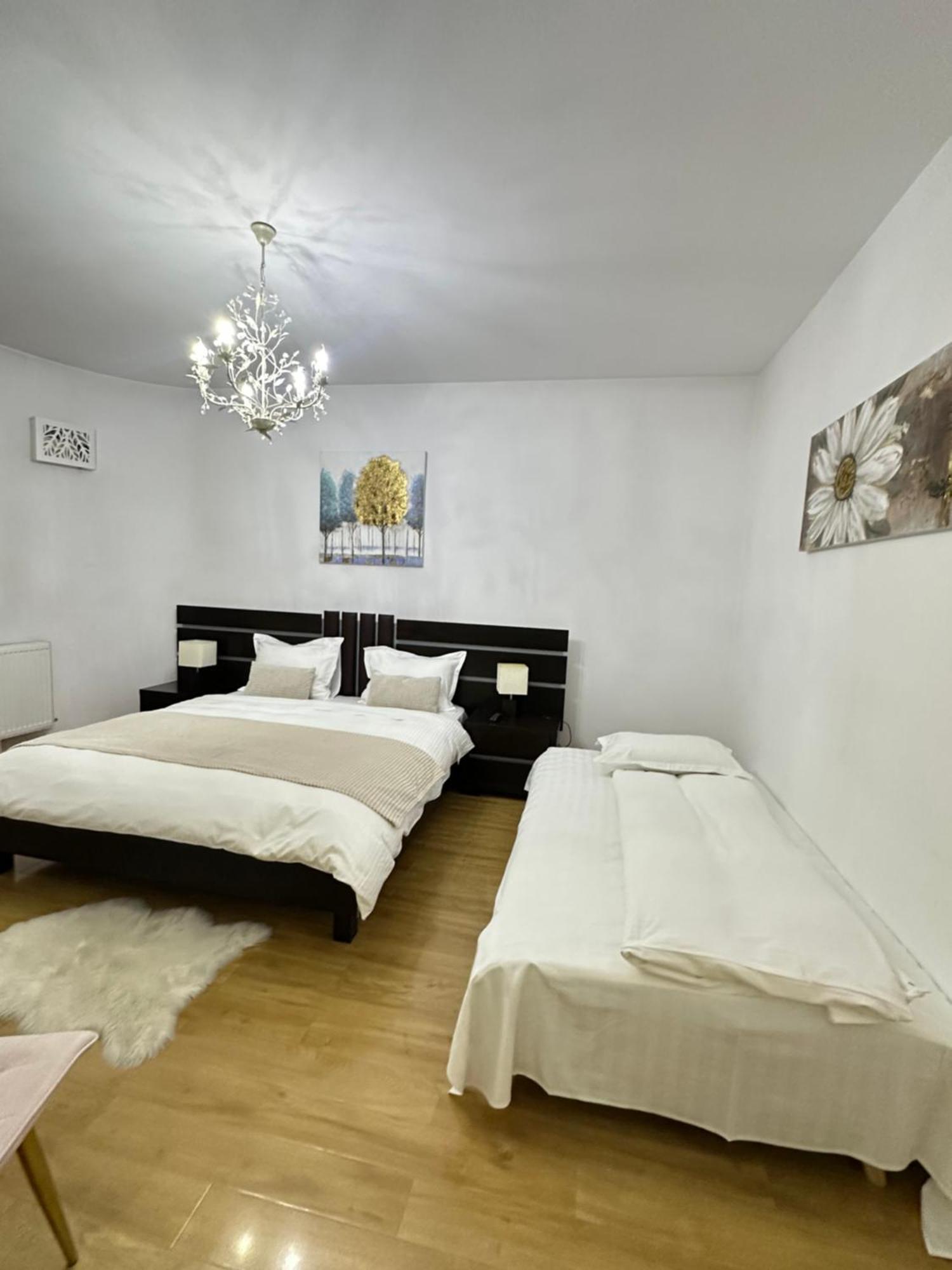 Vila Zoe Bucharestairport&Therme&Parking Otopeni Exterior foto