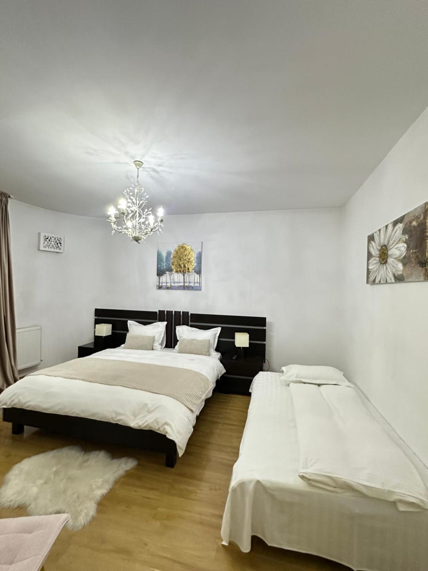 Vila Zoe Bucharestairport&Therme&Parking Otopeni Exterior foto
