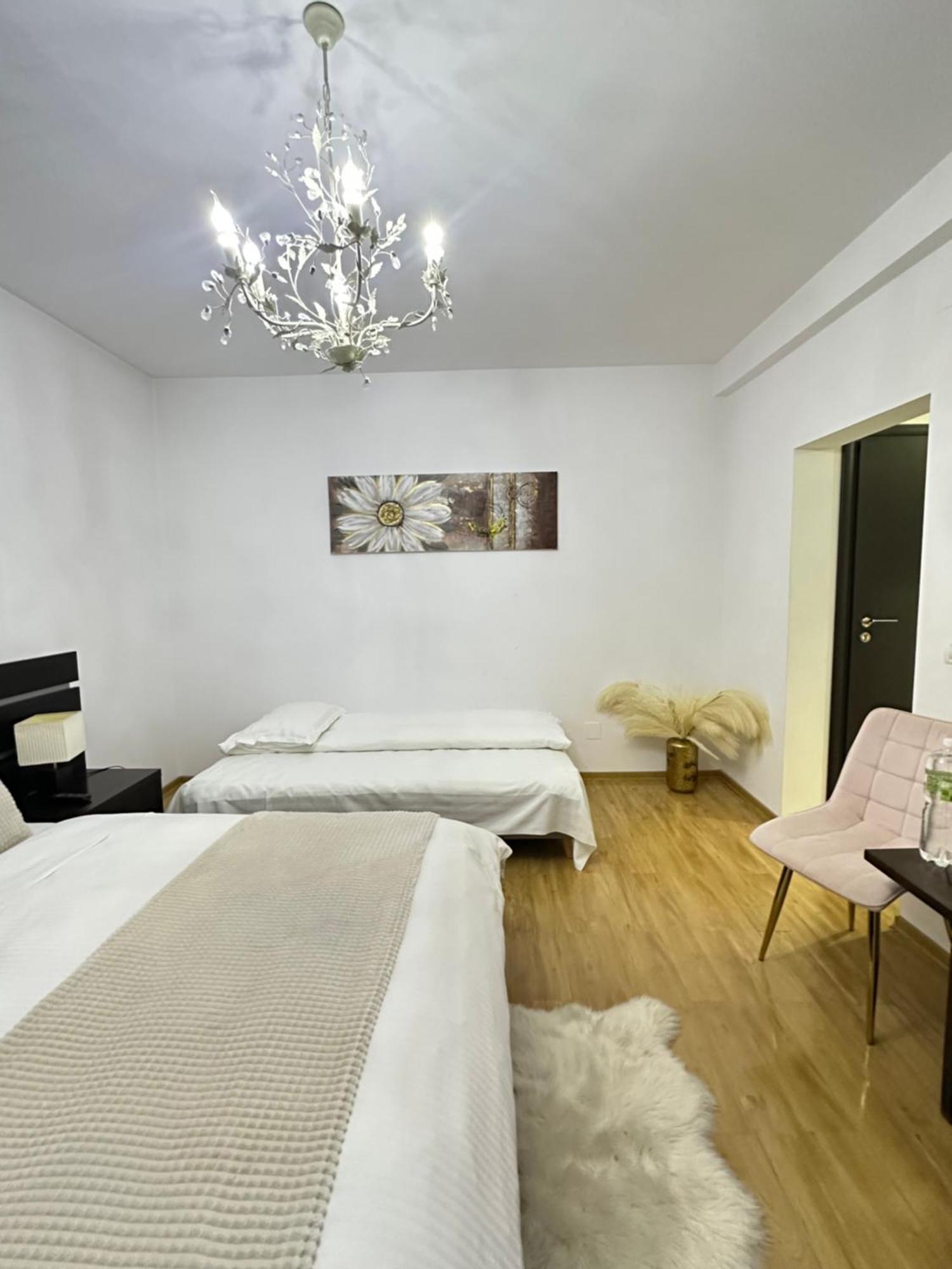 Vila Zoe Bucharestairport&Therme&Parking Otopeni Exterior foto